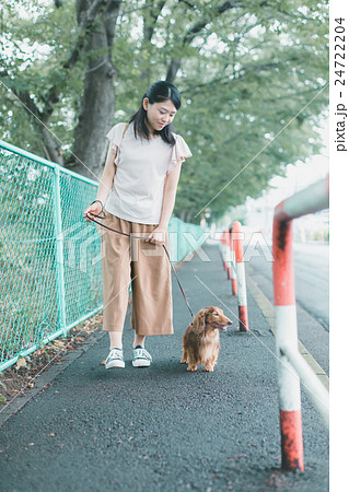 dog lover 24722204