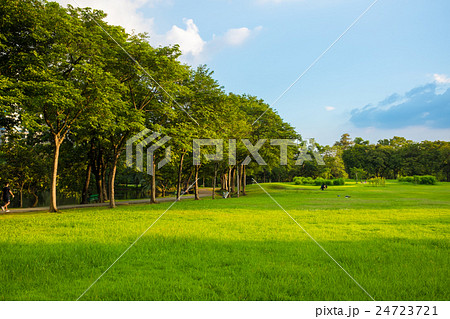 Green park with lawn 24723721