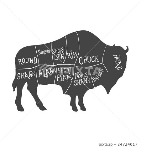 Bison Silhouette with Meat Cut Scheme. Vector 24724017