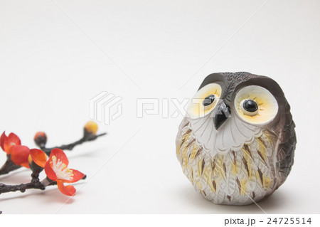 フクロウ(横) フクロウ(横) 24725514