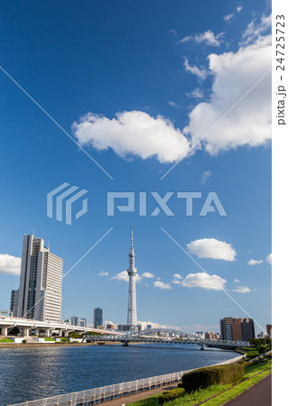 都立汐入公園から望む東京スカイツリー 都立汐入公園から望む東京スカイツリー 24725723