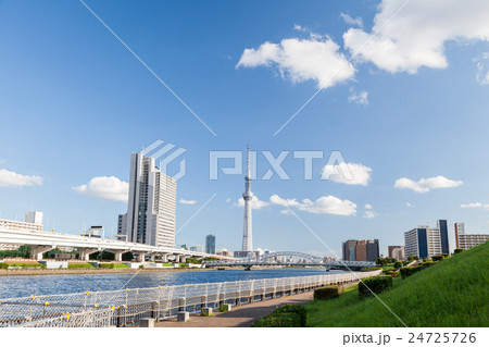 都立汐入公園から望む東京スカイツリー 都立汐入公園から望む東京スカイツリー 24725726