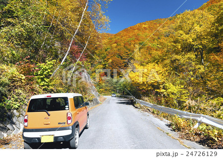 秋の乗鞍スーパー林道 秋の乗鞍スーパー林道 24726129