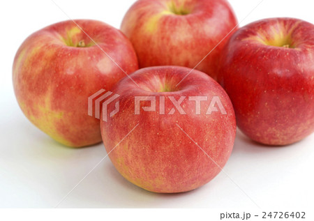 リンゴ(さんさ) リンゴ(さんさ) 24726402