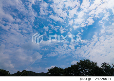 緑と空 レタッチにてより青く(9月初旬) 緑と空 レタッチにてより青く(9月初旬) 24726614