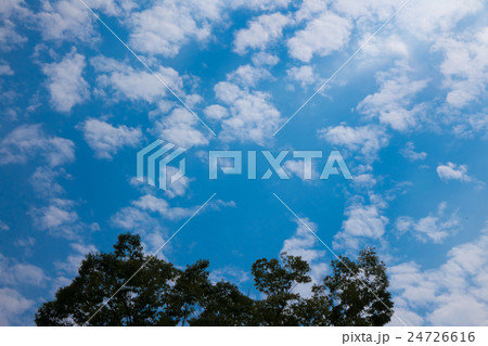 緑と空　レタッチにてより青く（9月初旬） 24726616