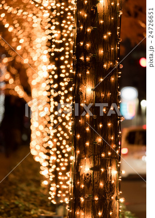 イルミネーション 24726651