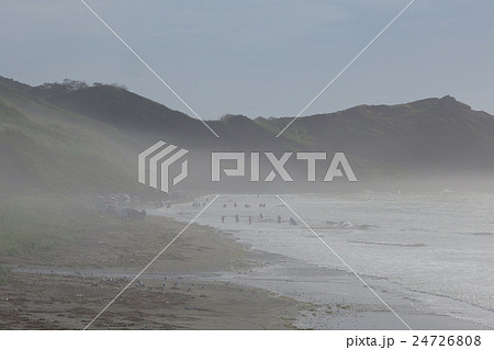 浜中町 昆布漁 浜中町 昆布漁 24726808