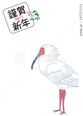 トキの年賀状 トキの年賀状 24727113