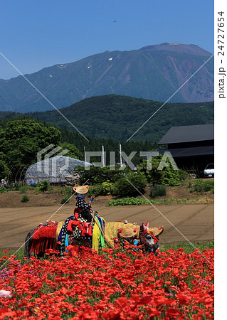 岩手山と花畑を歩くチャグチャグ馬コ 岩手山と花畑を歩くチャグチャグ馬コ 24727654