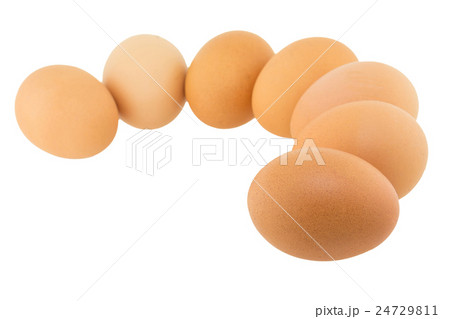 Egg isolated on with background 24729811