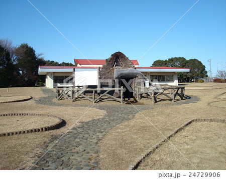 三殿台遺跡（横浜市三殿台考古館） 24729906