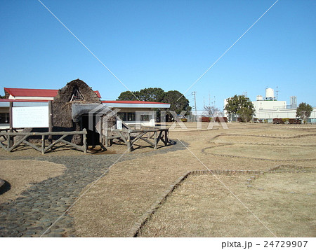 三殿台遺跡（横浜市三殿台考古館） 24729907