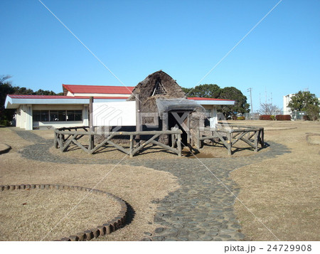 三殿台遺跡（横浜市三殿台考古館） 24729908