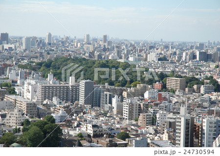 文京区の小石川植物園 24730594