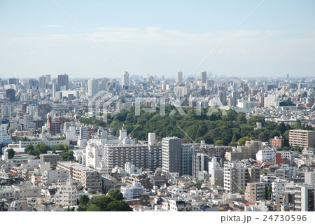 文京区の自然 24730596