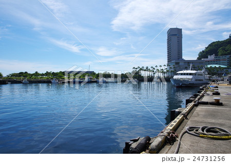 イルドバカンスプレミア 24731256