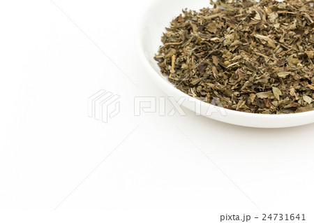 レモンバーム(メリッサ): Lemon balm (Melissa officinalis) レモンバーム(メリッサ): Lemon balm (Melissa officinalis) 24731641