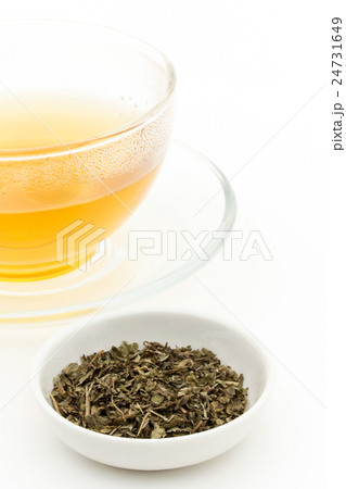 レモンバームティー: Lemon balm tea (Melissa officinalis) 24731649