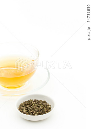 レモンバームティー: Lemon balm tea (Melissa officinalis) レモンバームティー: Lemon balm tea (Melissa officinalis) 24731650