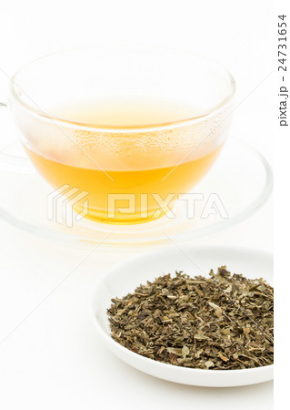 レモンバームティー: Lemon balm tea (Melissa officinalis) レモンバームティー: Lemon balm tea (Melissa officinalis) 24731654