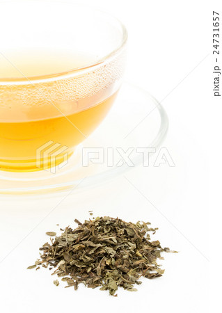 レモンバームティー: Lemon balm tea (Melissa officinalis) 24731657
