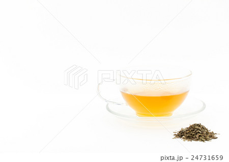 レモンバームティー: Lemon balm tea (Melissa officinalis) 24731659