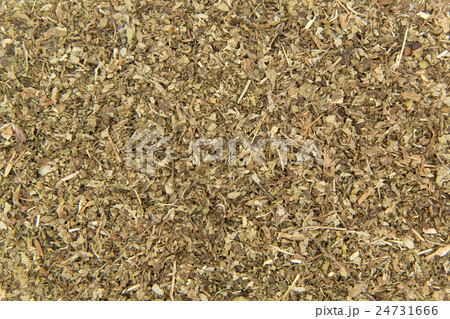 レモンバーム（メリッサ）: Lemon balm (Melissa officinalis) 24731666