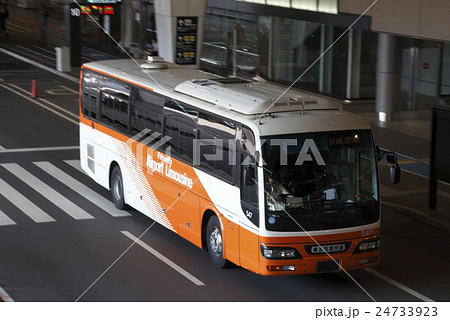 東京空港交通(リムジンバス/日産スペースアロー) 東京空港交通(リムジンバス/日産スペースアロー) 24733923