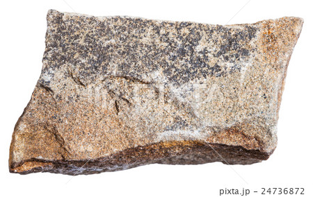 Arenite (polymictic Sandstone) mineral isolated 24736872