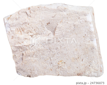 piece of chemogenic Limestone mineral isolated 24736873