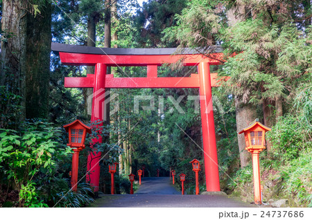 箱根神社 24737686