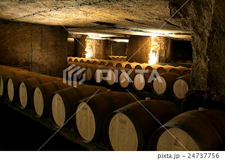 Wine barrels in cellar. 24737756