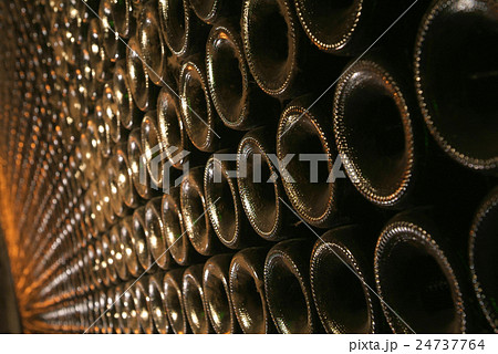 Wine barrels in cellar. 24737764