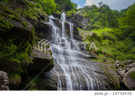 程野の滝　東滝（高知県いの町） 24738438