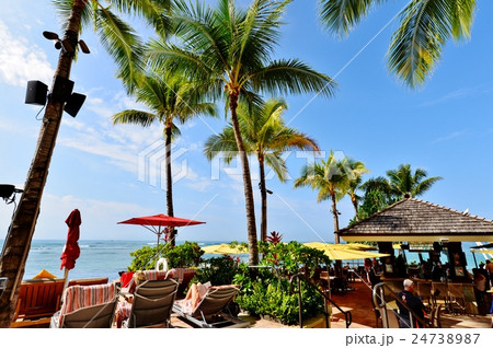 ハワイの休日 24738987