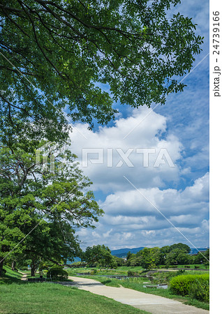 鴨川夏景色 鴨川夏景色 24739166