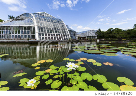 京都府立植物園の風景 24739320