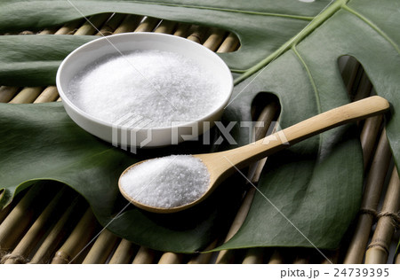 モンステラと岩塩 モンステラと岩塩 24739395