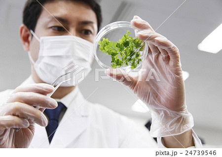 研究　サイエンス　バイオ　化学　科学　遺伝子　DNA　実験　科学者　化学者 24739546