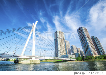 中央大橋 24739583