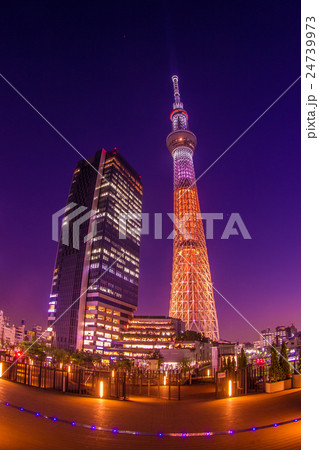 東京スカイツリー　「煌」 24739973