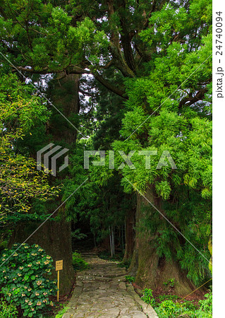 那智山　大門坂 24740094