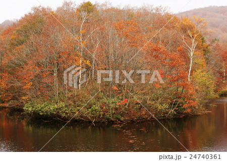 秋の印象 24740361
