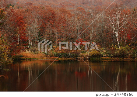 秋の印象 24740366
