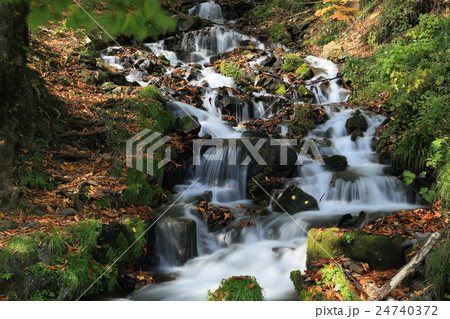 玉原高原　強清水の滝 24740372