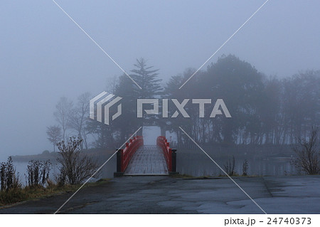霧の赤城神社 霧の赤城神社 24740373