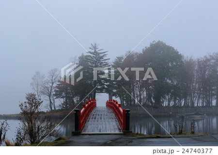 霧の赤城神社 霧の赤城神社 24740377