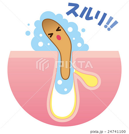 角栓の洗浄　毛穴の構造 24741100