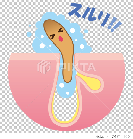 角栓の洗浄　毛穴の構造 24741100